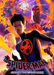 Spider-Man : Across the Spider-Verse