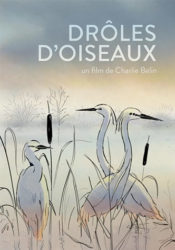 Drôles d'oiseaux