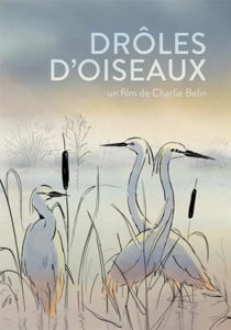 Drôles d'oiseaux