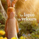 Le Lapin de velours