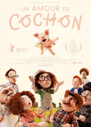 Chonchon, le plus mignon des cochons