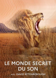 Le monde secret du son avec David Attenborough