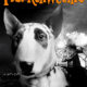 Frankenweenie 1984