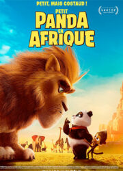 Petit Panda en Afrique