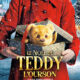 Le Noël de Teddy l'ourson