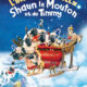 L'incroyable Noël de Shaun le Mouton et de Timmy