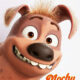 Mochy