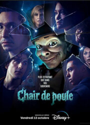 Chair de poule